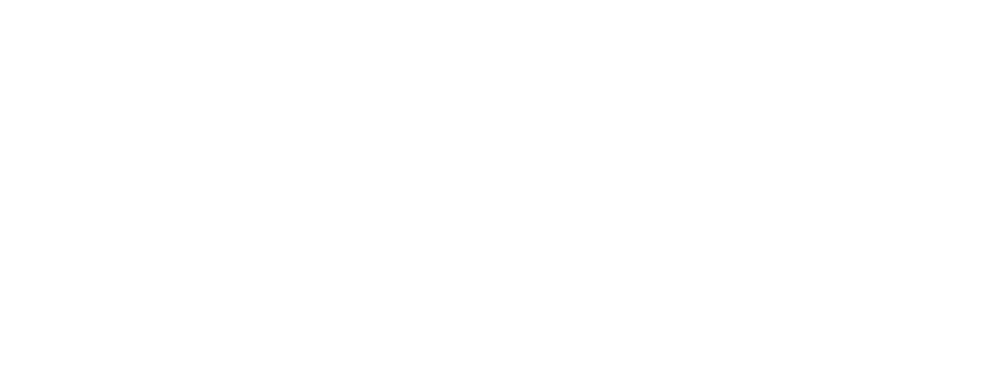 Logo DNS LAC
